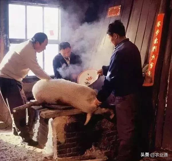 老歌经典大全80年代，盘点80年代经典老歌（80年代的那些老歌）