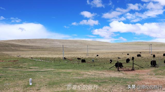 穿越无人区高原旅行，穿越海拔4700的米羌塘无人区