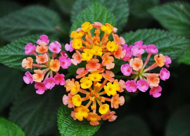 懂得珍惜才配拥有，学会珍惜才配拥有（懂得珍惜，才配拥有）