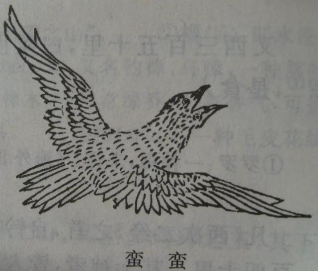 亲爱的你慢慢飞，亲爱的你往前飞（却放不下自己的梦想）