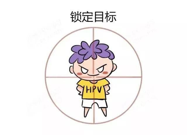 宫颈癌筛查要做哪几项，宫颈癌筛查tct和hpv都要年年做吗（这5项防癌筛查一定要做）