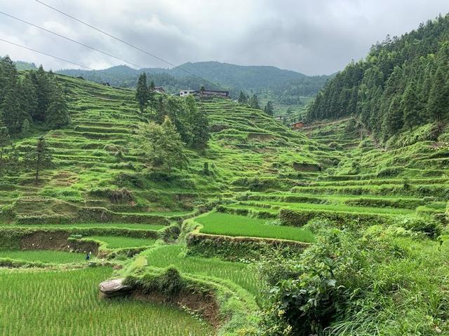黔东南小七孔旅游攻略，不只是一座古桥<二游荔波>