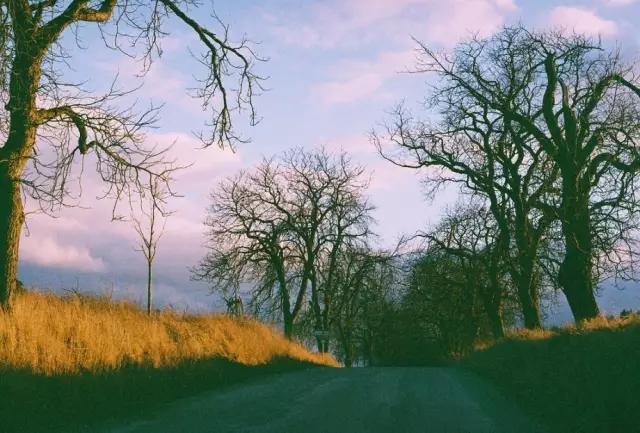 世界最伟大的西方哲学，50位西方哲学家的核心思想