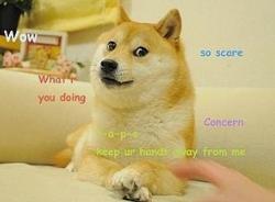 doge目瞪狗呆表情包，活在你表情包里的神烦狗Doge