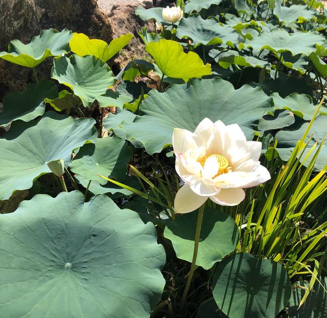 昆明美食排名前十，昆明美食排行榜前十名探店