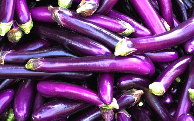 圆茄子和长茄子竟有这么大的区别，长茄子和圆茄子有啥不同