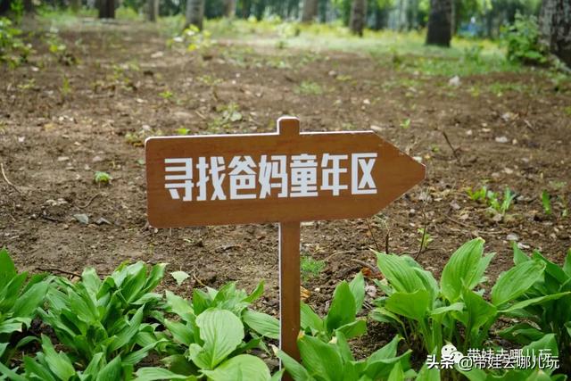 南宫旅游十大必去景点，假日乡村打卡丨夏日来南宫看民族主题花车巡游