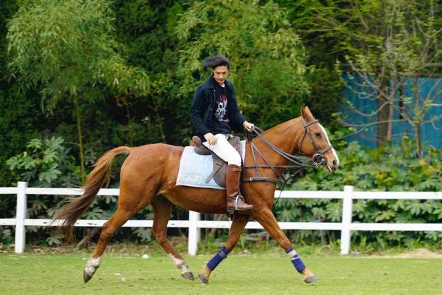 一生一世的梅大律师有情有义，沙海马茂年是谁演的