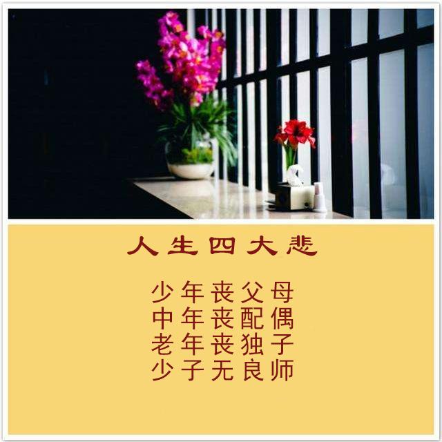 人生四苦四喜四得，人生：四苦