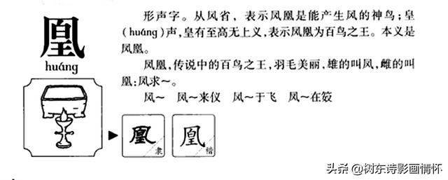 凤与凰的典故，山海经中记载的凤凰现世-读书笔记-南次三经2