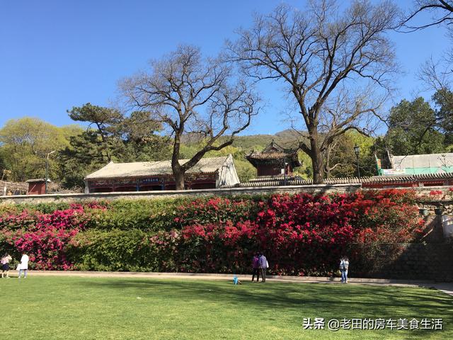 红螺寺求什么最灵验，红螺寺灵验（红螺寺在哪里求什么最灵验）