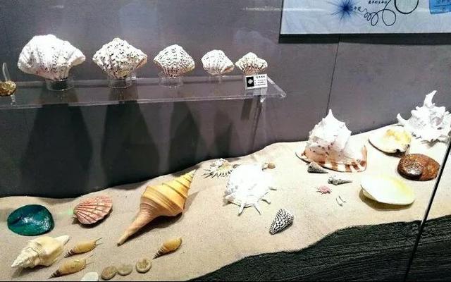 深圳亲子适合去的博物馆，深圳这些宝藏博物馆给你惊喜连连