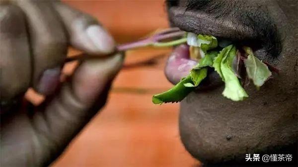 一张图说出新型毒品的危害，这种茶是新型毒品