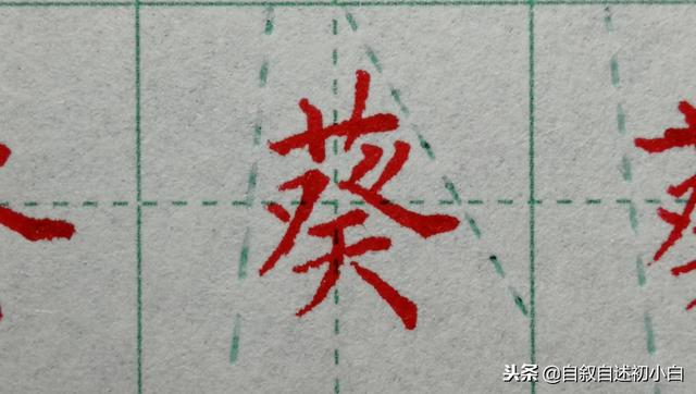 草字头加长怎么读，草书练字教程米字格（<二>艹、屮、艸、芔、茻）