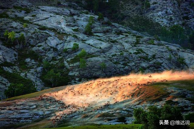 阿尔卑斯山最精华的地区，以金山之名滋养富饶与生机的阿尔泰山