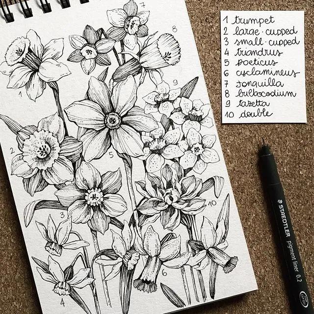 妙笔生花水墨画教程，教科书级别的植物线描