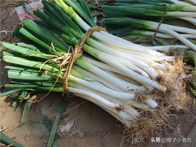 东北秋季怎样保存大葱，吃到明年春天不空不烂