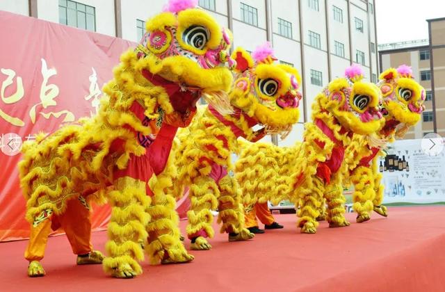 徐闻菠萝发展概况，今年徐闻菠萝已出口375.8吨