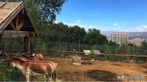 青海西宁的景点有哪些（青海西宁自驾游攻略更佳路线）