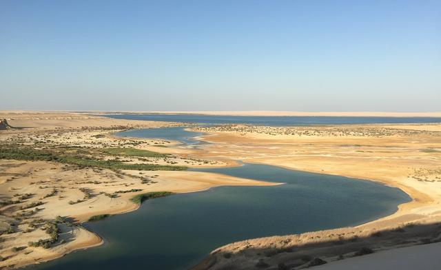 古埃及为世界文明做出了哪些贡献，作为世界最古老的文明