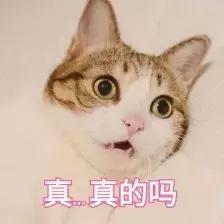 必须拥有的10款口红，各大品牌断货王