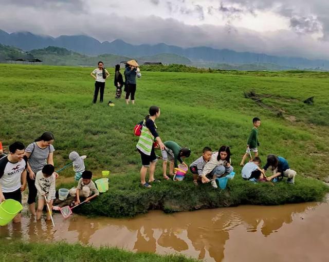 南湖多彩植物园，这个季节重庆哪些地方旅游最适合（邀你来看“漫山红”）