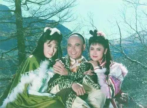 雪山飞狐程灵素，雪山飞狐程灵素死（雪山飞狐：胡斐不喜欢程灵素）