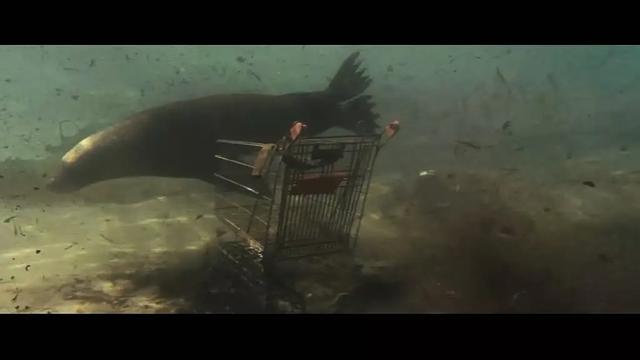 海洋世界纪录片，海洋深度探索纪录片