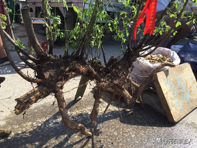 厦门东部最大的大集，“空中视角”带你赶厦门唐王大集