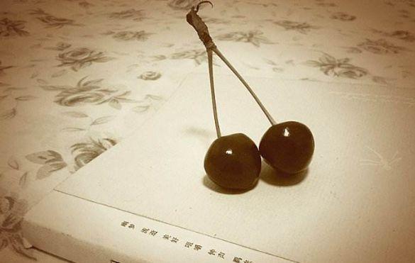 每日诗词名句100首，人间高雅千千万