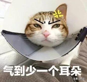 李响孙骁骁公开恋情，孙骁骁李响分手原因曝光（主持人李响大婚新娘不是孙骁骁）