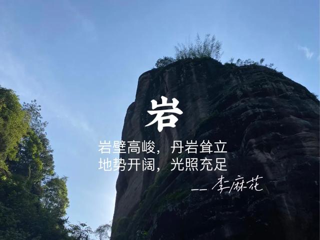 牛栏坑肉桂特点，岩茶天花板——R8牛栏坑肉桂