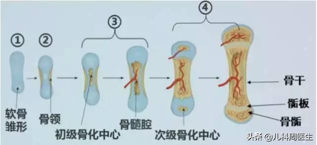 不会长高的征兆，小孩停止长高的10个征兆