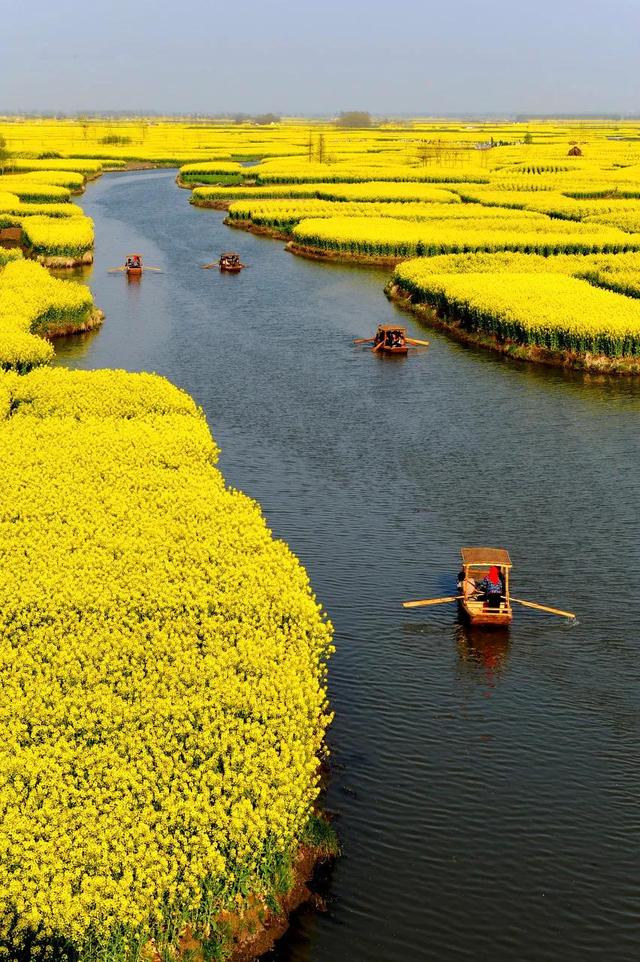 3月旅游的最佳地点，3月去什么地方旅游最好呢（三月份旅游一定要去的六个地方）