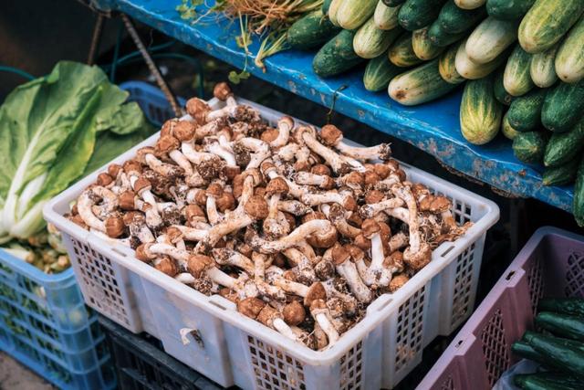 腾冲哪里的温泉比较好泡，想在国内舒服泡温泉
