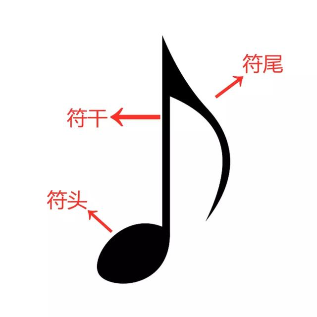 如何看懂五线谱的正确位置，超赞干货你感兴趣的五线谱基础知识都在这里了