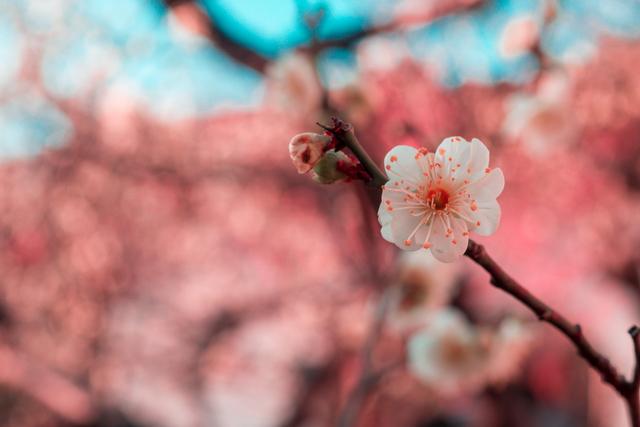 这5点决定了女人在婆家的地位，女人在婆家地位的高低