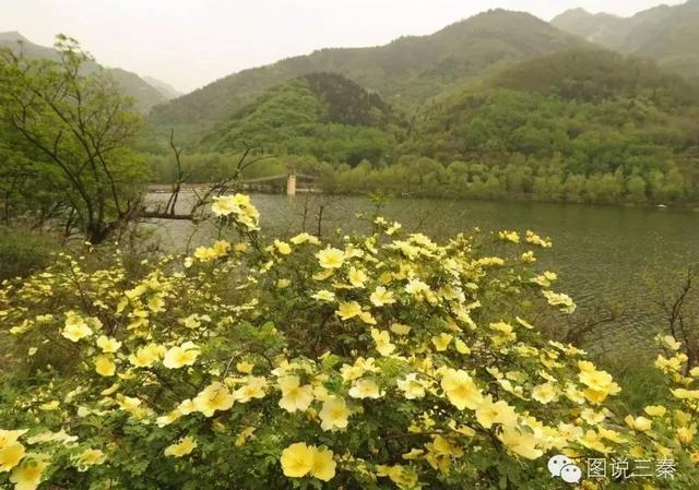 蓝田汤峪有什么好处，陕西蓝田最值得去的地方是哪里