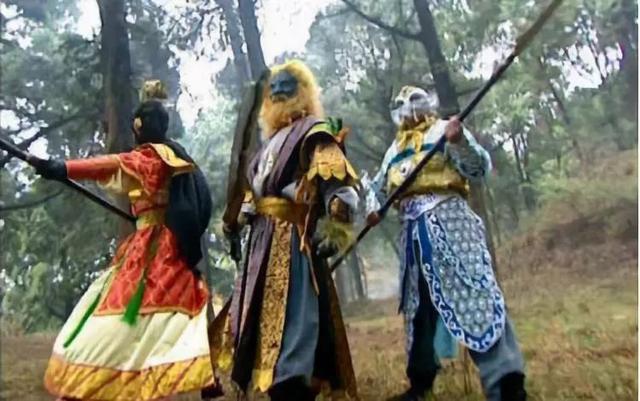 哪些狗狗性格温顺又便宜智商高，公认傻狗排行榜