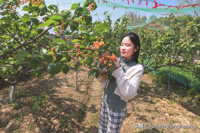安吉旅游必去的景点，安吉旅游攻略必去景点推荐