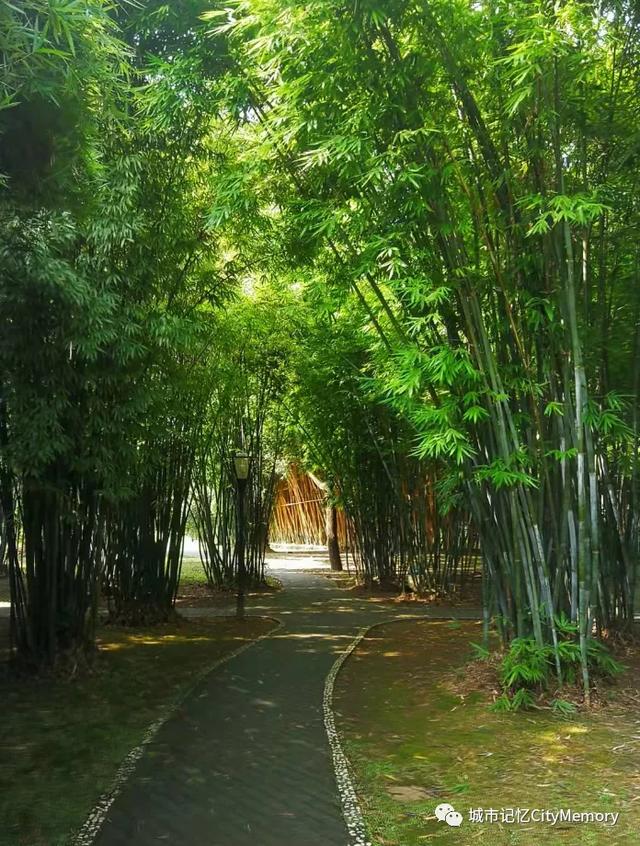 长沙橘子洲怎样形成的，为何橘子洲的形成跟它们还有关系