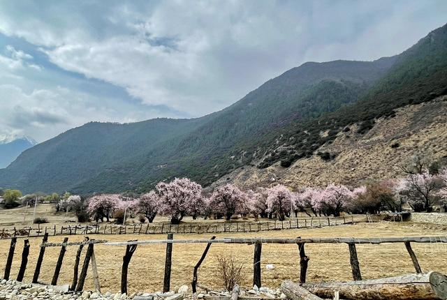 317川藏线的最美风景，一个景色绝美的小众人文秘境