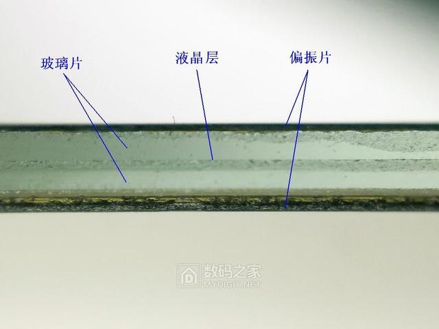 3d眼镜的作用，3d眼镜原理在生活中的应用（影院别老想薅消费者羊毛）