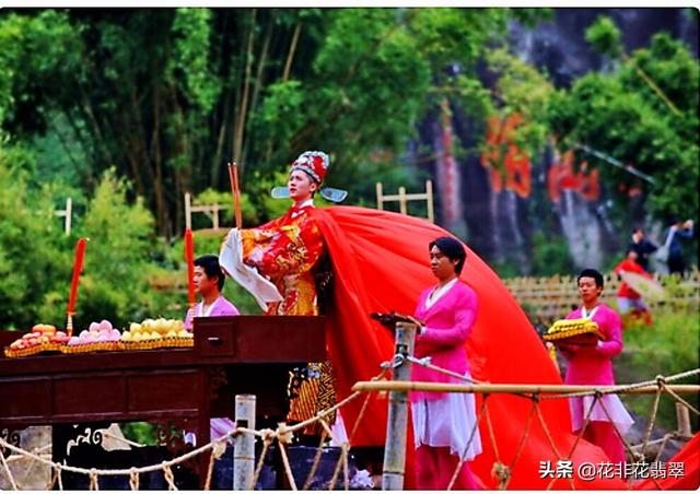 武夷山大红袍母树，大红袍母树茶叶去哪了