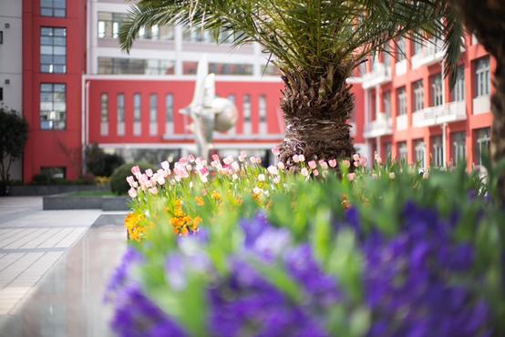 上海国际学校排名，2023上海国际学校学费都有所上涨