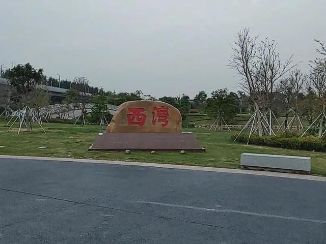 深圳宝安最美打卡点，深圳西湾红树林攻略