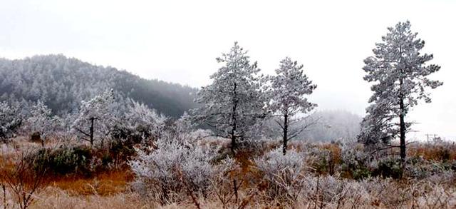 福建南平有什么旅游景点吗，福建省南平市值得游玩的旅游景点有哪些