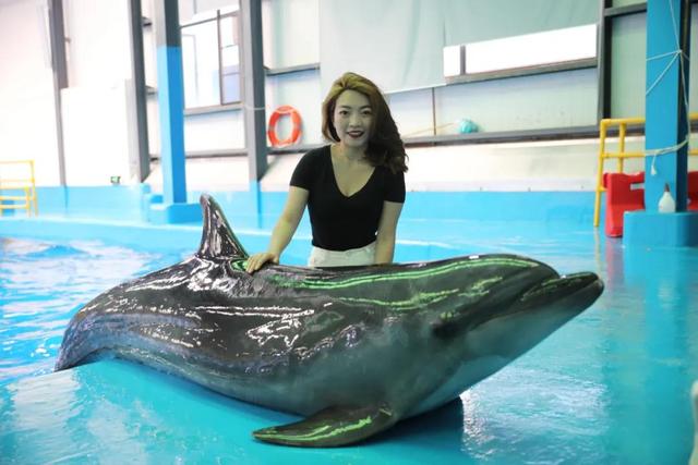 昆明梦幻联邦乐园什么值得玩，昆明周边惊现世界奇迹上的欢乐王国