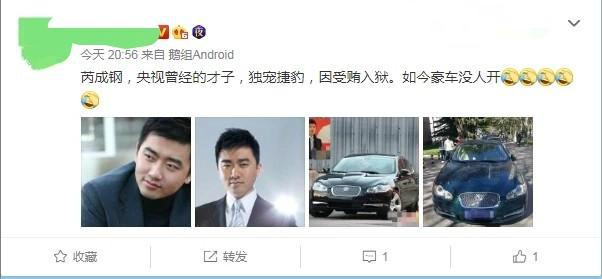 芮成钢犯了什么罪央视间谍成蕾判多少年