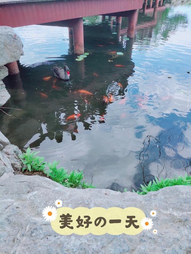  圆明园游玩攻略， 圆明园游玩攻略，亲身体验